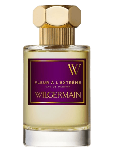 Wilgermain Fleur à l'Extrême