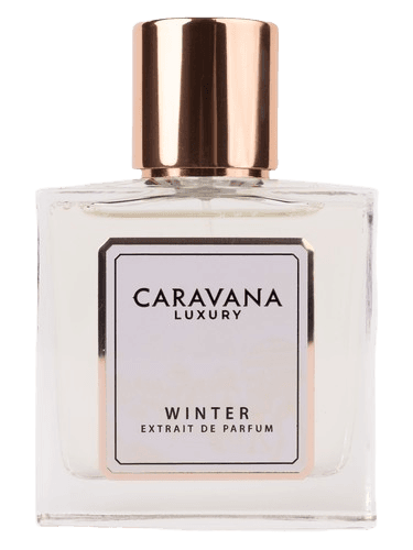 Caravana Luxury Winter