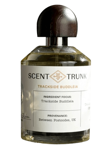 Scent Trunk Trackside Buddleia