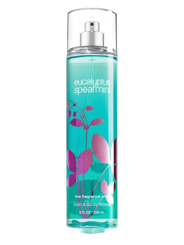 Bath & Body Works Eucalyptus Spearmint