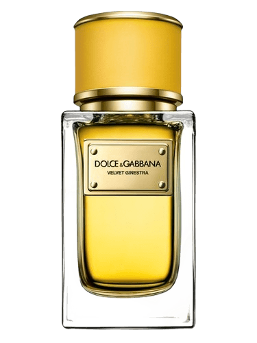 Dolce&Gabbana Velvet Ginestra