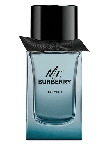 Burberry Mr. Burberry Element