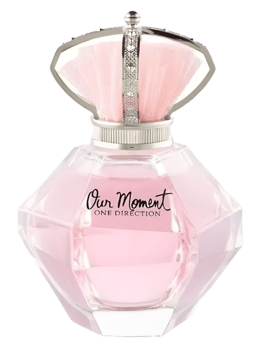 One Direction Our Moment