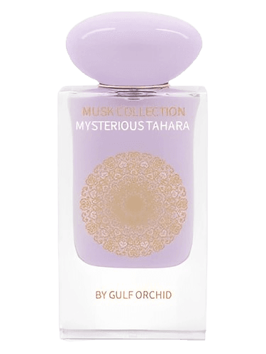 Gulf Orchid Mysterious Tahara