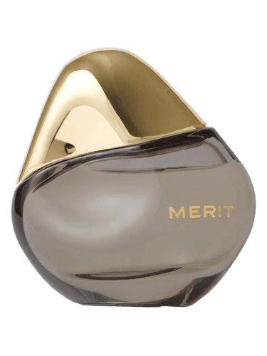 Merit Retrospect