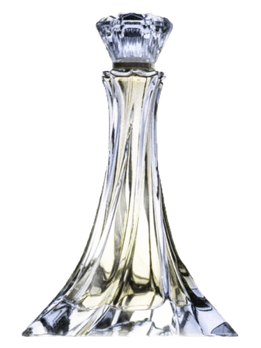 Elegantes Amber Incense
