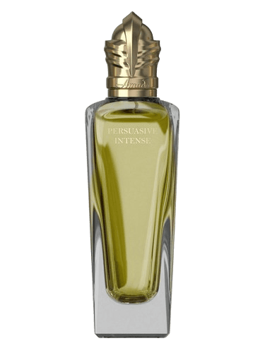 Amado Persuasive Intense