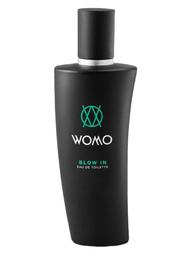 Womo Blow In