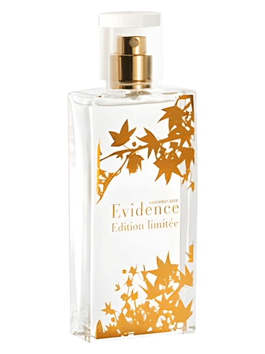 Yves Rocher Comme Une Evidence Limited Edition 2008