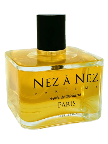 Nez a Nez Foret de Becharre