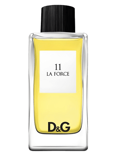 Dolce&Gabbana D&G Anthology La Force 11