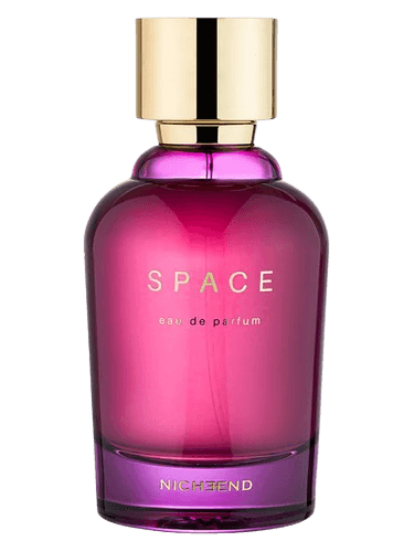 Nicheend Space