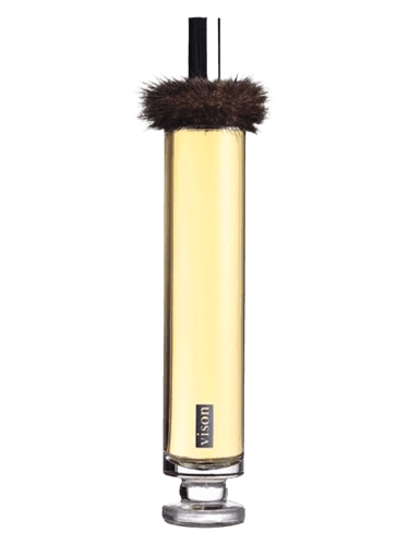 Robert Beaulieu Vison EDP