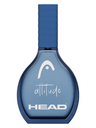 Head Attitude