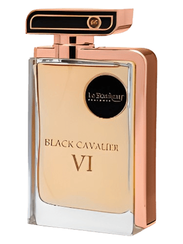 Le Bonheur Perfumes Black Cavalier VI