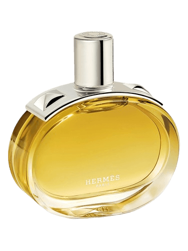 Hermès Barénia Intense