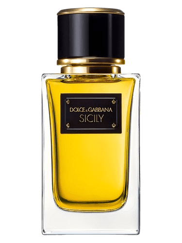 Dolce&Gabbana Velvet Sicily